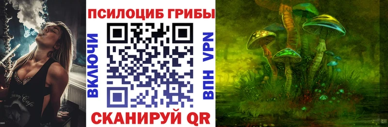 Псилоцибиновые грибы прущие грибы  закладка  Куровское 